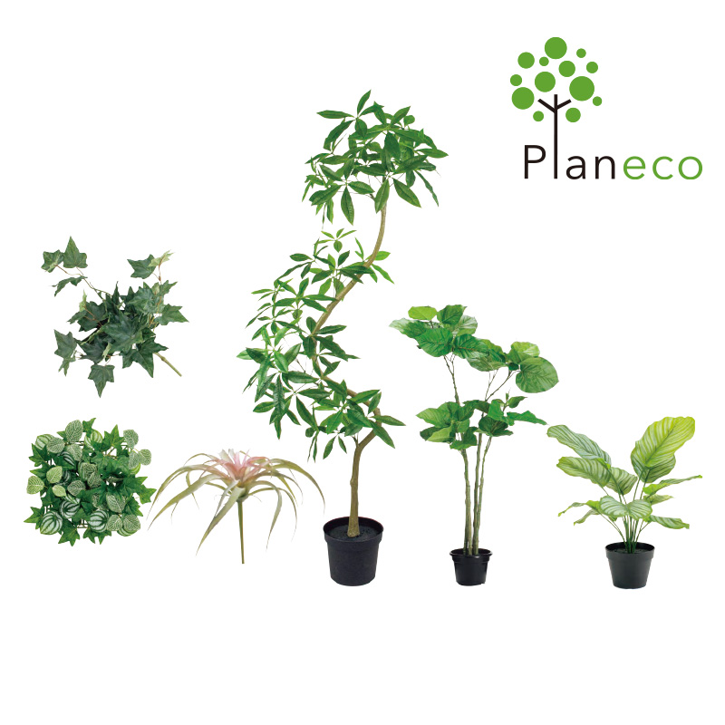 planeco